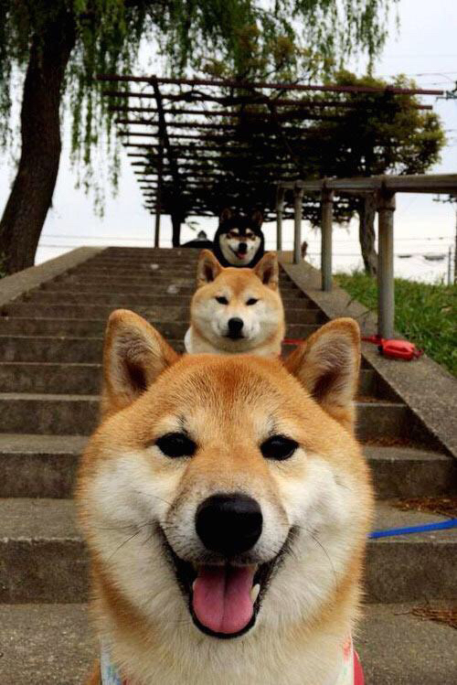 开云app安全认证-“新赛季中超志在必得，期待精彩纷呈的比赛”，新赛季中超地点