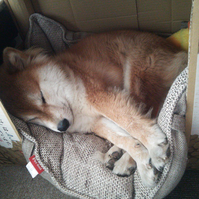 令人热血沸腾的对决，胜利者唯有王者，胜者组决赛赢了就是冠军吗