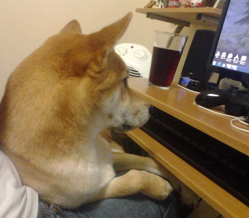 中超联赛官方APP新增多项互动功能，中超联赛软件下载