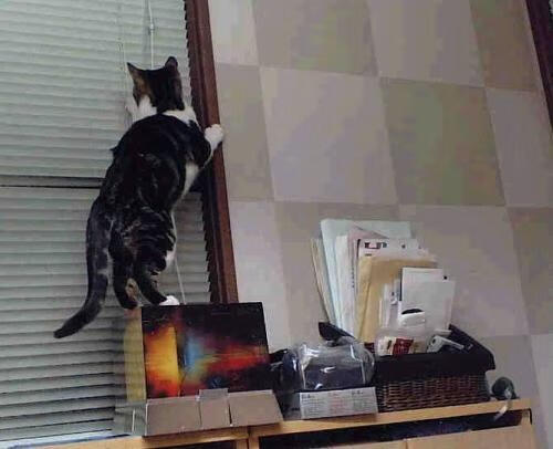 开云-全国青少年“未来冠军”训练营在深圳启动，培养青少年运动领袖