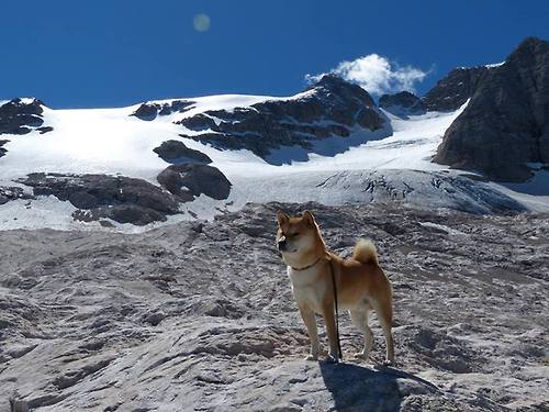法甲:巴黎主场2-1战胜里尔,积分优势扩大,法甲巴黎阵容