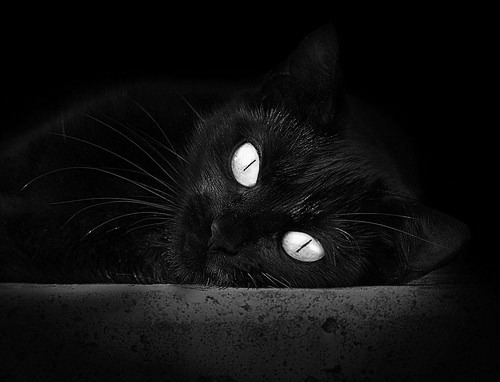 费兰·托雷斯复出即展现神级视野,助攻皇马关键胜局,费兰托雷斯和托雷斯