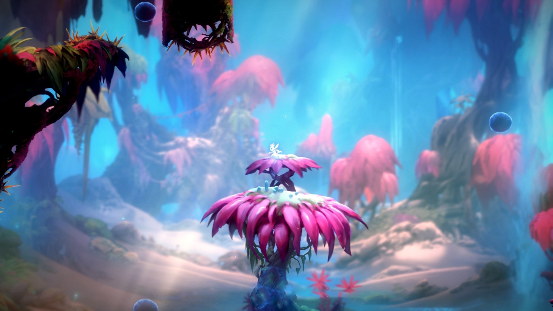 退役球员的精彩生活:球场之外的无限可能,退役篮球球员