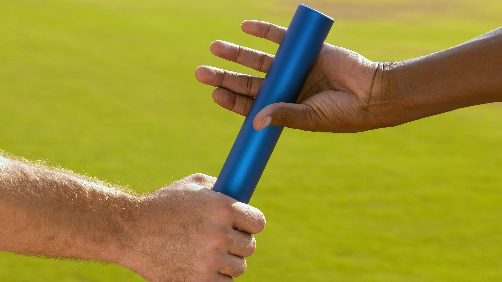 黄蜂与高校合作开设“篮球裁判实训课程”，黄蜂球场