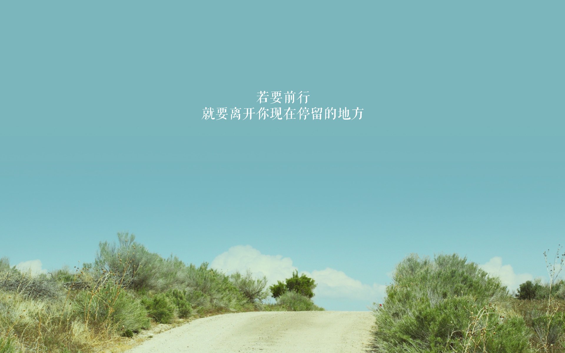 上海申花客场表现出色，成功击败对手，上海申花战绩