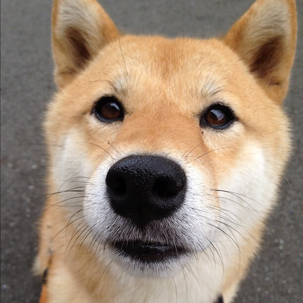 开云平台-中国篮球运动员职业技能提升，中国篮球职业运动员职业生涯