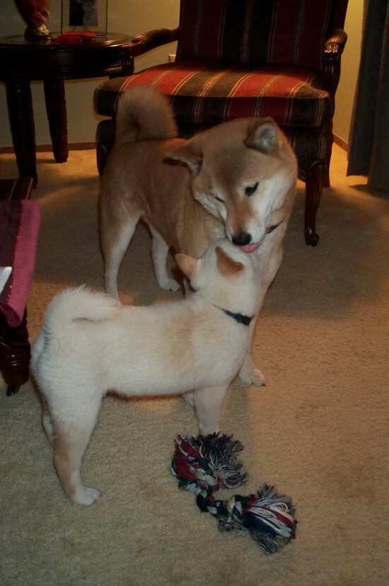 中国足球的球迷互动平台建设，中国的足球迷现在真的感到很迷茫