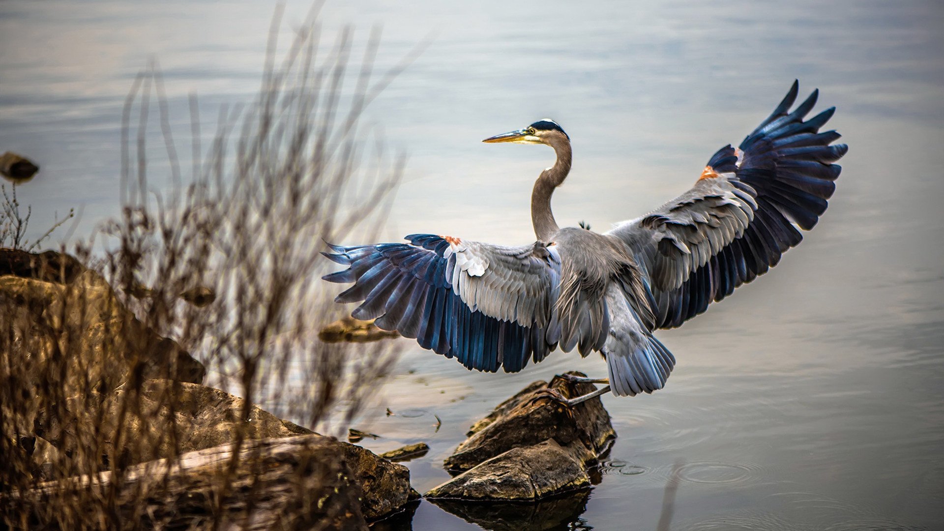 多特蒙德主帅谈未来，球队将进行全面调整，多特蒙德球员介绍