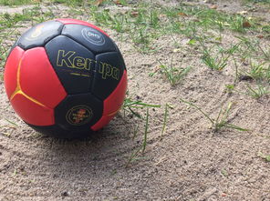 开云体育安全平台-全国老年人健身球操赛展银发激情，老年健身球类