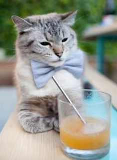 中国男篮通过实战训练提升应变能力，中国男篮体能训练