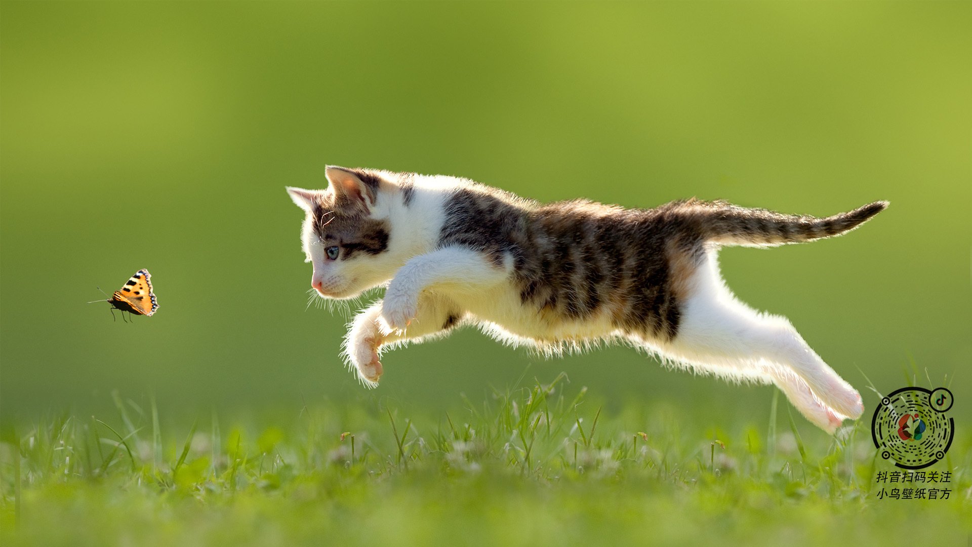 中国足球技术流打法能否破局,中国足球战术